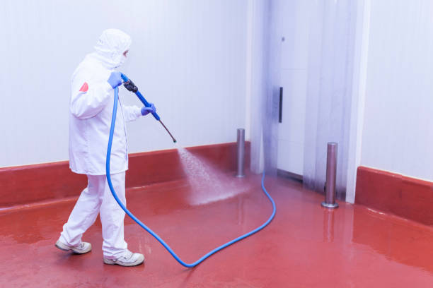 Boat and Dock Cleaning in Freedom, CA